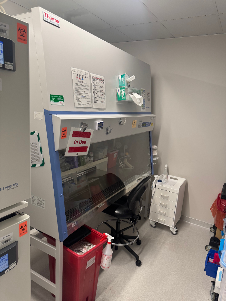 Image of Thermo 1300 Series A2 6' Biosafety Cabinet